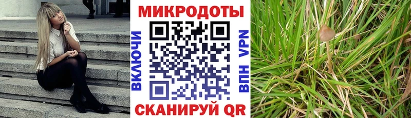 Псилоцибиновые грибы ЛСД  Чаплыгин 